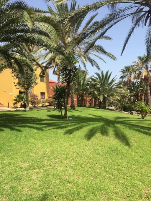 Corralejo Happy Place, Precioso Apartamento Con Piscina 外观 照片