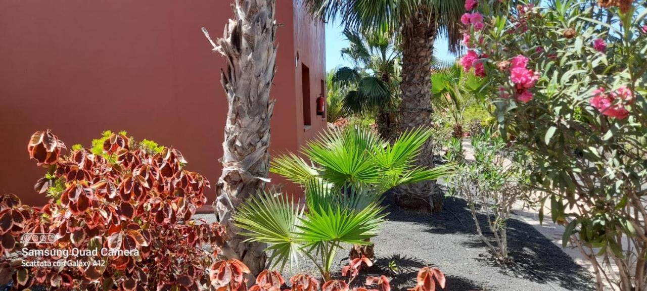 Corralejo Happy Place, Precioso Apartamento Con Piscina 外观 照片